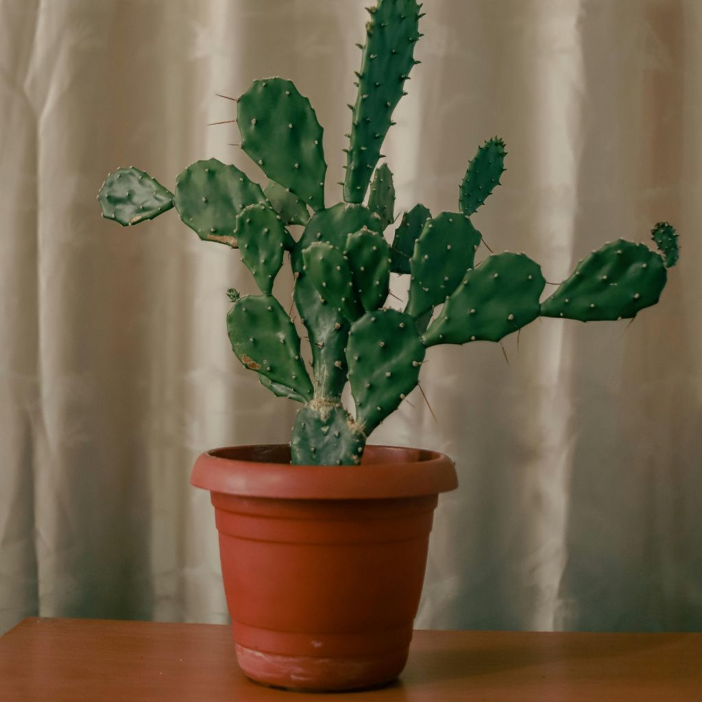 Návrh bez názvu (82)